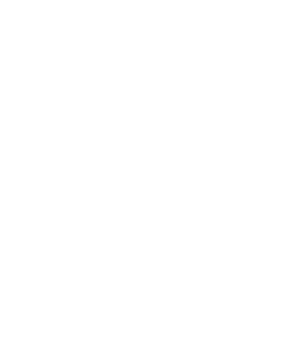 CASI AI Logo